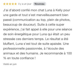 Accueil screenshot