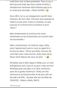 Accueil screenshot
